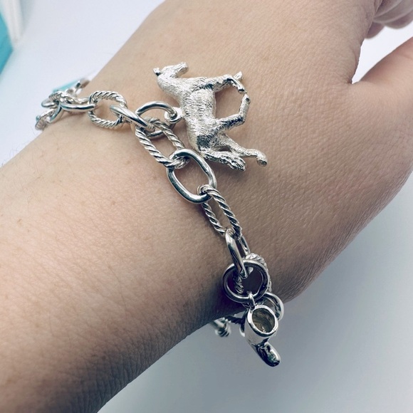 Tiffany & Co. Extra Links for Equestrian Charm Bracelet - Picture 7 of 7